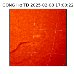 gong - 2025-02-08T17:00:22