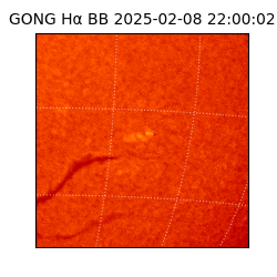 gong - 2025-02-08T22:00:02