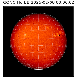 gong - 2025-02-08T00:00:02