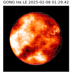 gong - 2025-02-08T01:29:42