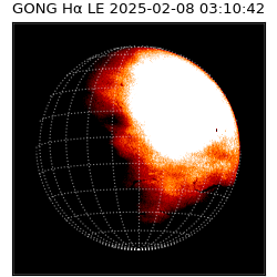 gong - 2025-02-08T03:10:42