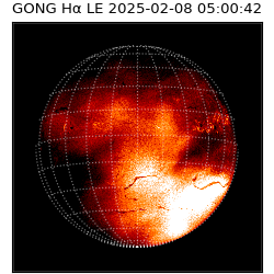 gong - 2025-02-08T05:00:42