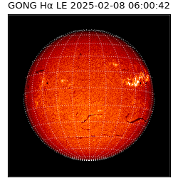 gong - 2025-02-08T06:00:42