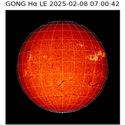 gong - 2025-02-08T07:00:42