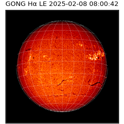 gong - 2025-02-08T08:00:42