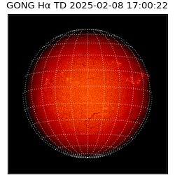 gong - 2025-02-08T17:00:22
