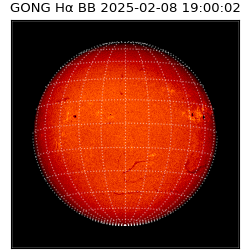 gong - 2025-02-08T19:00:02