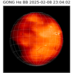 gong - 2025-02-08T23:04:02