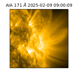 saia - 2025-02-09T09:00:09.350000
