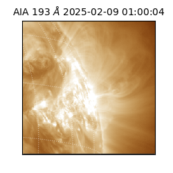 saia - 2025-02-09T01:00:04.843000