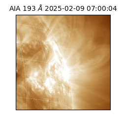 saia - 2025-02-09T07:00:04.843000