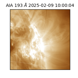 saia - 2025-02-09T10:00:04.845000