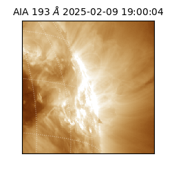 saia - 2025-02-09T19:00:04.843000