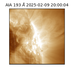 saia - 2025-02-09T20:00:04.843000