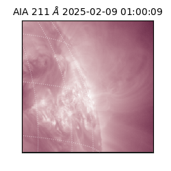 saia - 2025-02-09T01:00:09.629000