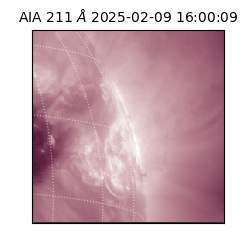 saia - 2025-02-09T16:00:09.630000