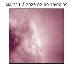 saia - 2025-02-09T19:00:09.629000