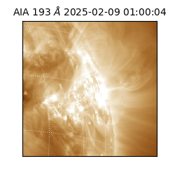 saia - 2025-02-09T01:00:04.843000