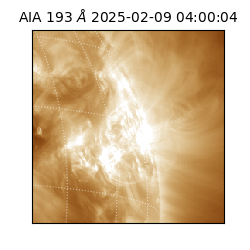 saia - 2025-02-09T04:00:04.843000