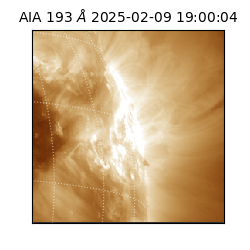 saia - 2025-02-09T19:00:04.843000