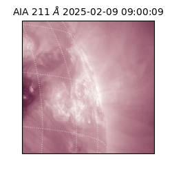 saia - 2025-02-09T09:00:09.623000