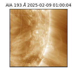 saia - 2025-02-09T01:00:04.843000