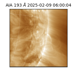 saia - 2025-02-09T06:00:04.843000