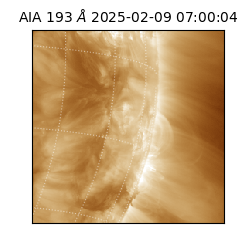 saia - 2025-02-09T07:00:04.843000