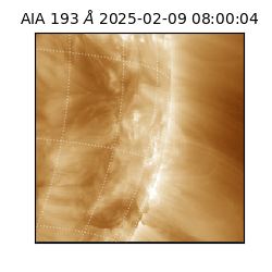 saia - 2025-02-09T08:00:04.835000