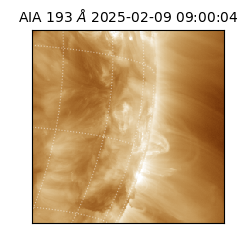 saia - 2025-02-09T09:00:04.847000