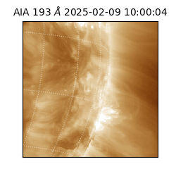 saia - 2025-02-09T10:00:04.845000