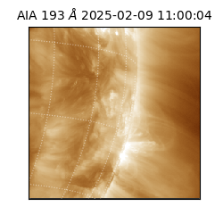 saia - 2025-02-09T11:00:04.843000