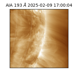 saia - 2025-02-09T17:00:04.843000