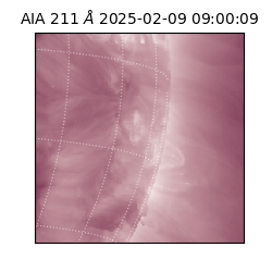 saia - 2025-02-09T09:00:09.623000