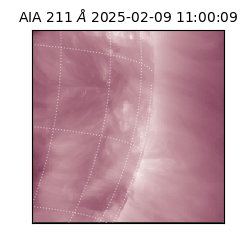 saia - 2025-02-09T11:00:09.626000