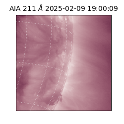 saia - 2025-02-09T19:00:09.629000