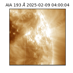 saia - 2025-02-09T04:00:04.843000