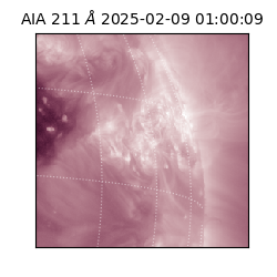 saia - 2025-02-09T01:00:09.629000