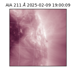 saia - 2025-02-09T19:00:09.629000