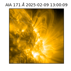 saia - 2025-02-09T13:00:09.350000