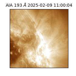 saia - 2025-02-09T11:00:04.843000