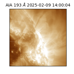 saia - 2025-02-09T14:00:04.843000