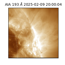 saia - 2025-02-09T20:00:04.843000