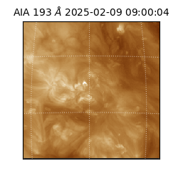 saia - 2025-02-09T09:00:04.847000