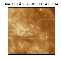 saia - 2025-02-09T14:00:04.843000