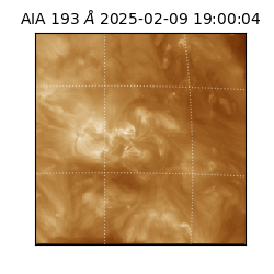 saia - 2025-02-09T19:00:04.843000