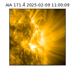 saia - 2025-02-09T11:00:09.350000