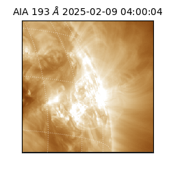 saia - 2025-02-09T04:00:04.843000