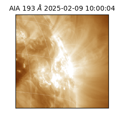 saia - 2025-02-09T10:00:04.845000