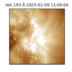 saia - 2025-02-09T11:00:04.843000